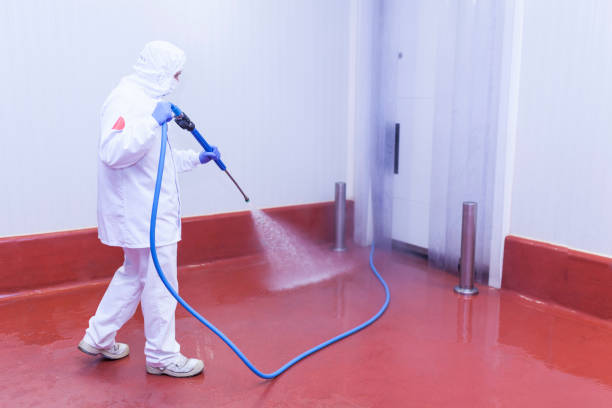 Best Solar Panel Cleaning  in Lake Wales, FL